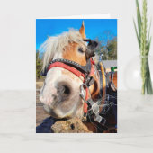 Carte Joyeux Cheval Amical Anniversaire (Devant)