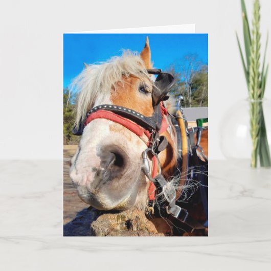 Carte Joyeux Cheval Amical Anniversaire (Devant)