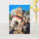 Carte Joyeux Cheval Amical Anniversaire (Fleur jaune)