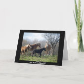 Carte Joyeux Chevaux d'anniversaire (Dos)