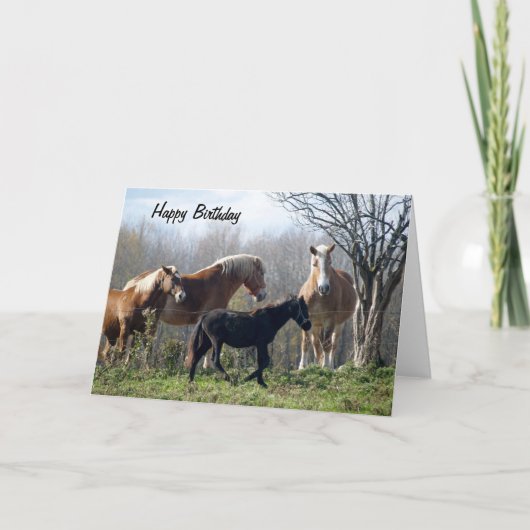 Carte Joyeux Chevaux d'anniversaire (Devant)