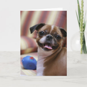 Carte Joyeux chien avec jouet