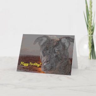 Carte Joyeux chien d'anniversaire