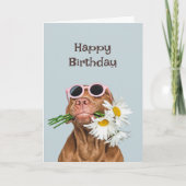 Carte Joyeux chien d'anniversaire avec fleurs Humour ani (Devant)