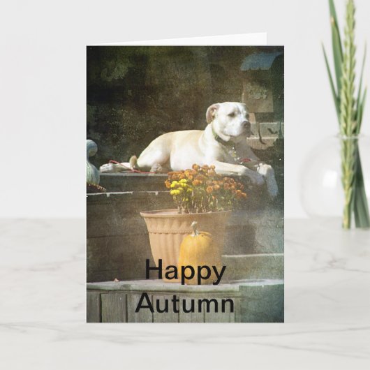 Carte Joyeux chien d'automne sur Porch (Devant)