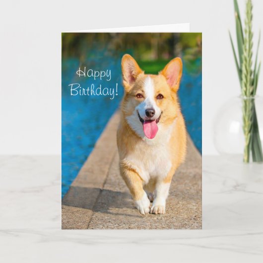 Carte Joyeux Chien de Corgi Anniversaire (Devant)