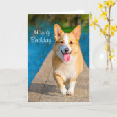 Carte Joyeux Chien de Corgi Anniversaire (Fleur jaune)