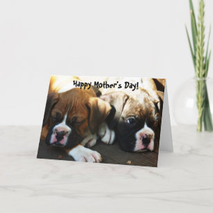 Carte Joyeux chiots de la boîte de la Fête des Mères car