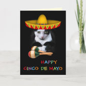 Carte Joyeux Cinco De Mayo Cat (Devant)