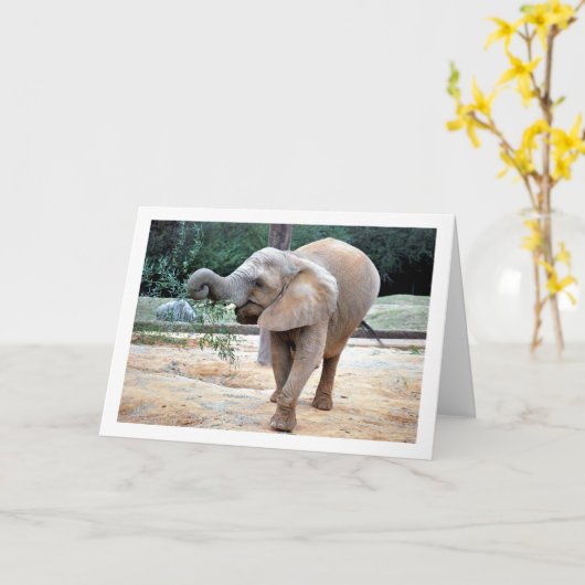 Carte Joyeux éléphant (Fleur jaune)