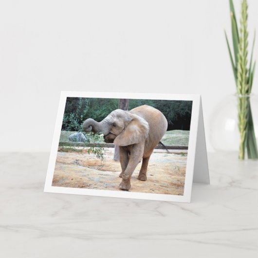 Carte Joyeux éléphant (Devant)