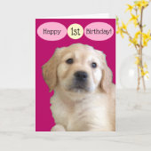 Carte Joyeux ęr anniversaire à une fille spéciale (Fleur jaune)