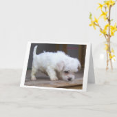 Carte Joyeux Fils d'anniversaire (Fleur jaune)