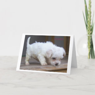 Carte Joyeux Fils d'anniversaire