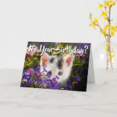 Carte Joyeux Fleurs de chats d'anniversaire (Fleur jaune)