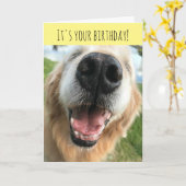 Carte Joyeux Golden Retriever Chien Fête d'anniversaire (Fleur jaune)