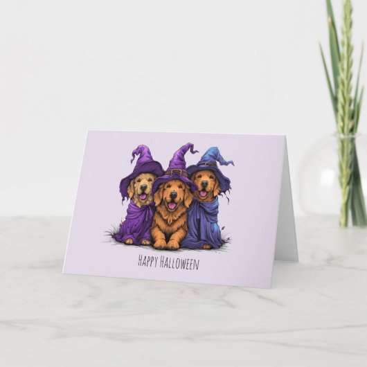 Carte Joyeux Halloween Chiens Retriever Golden Sorcières (Devant)