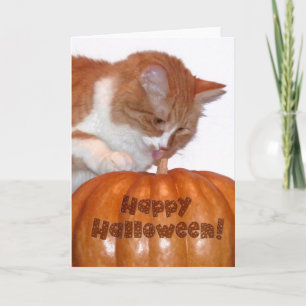 Carte Joyeux Halloween Cute Chat avec Citrouille