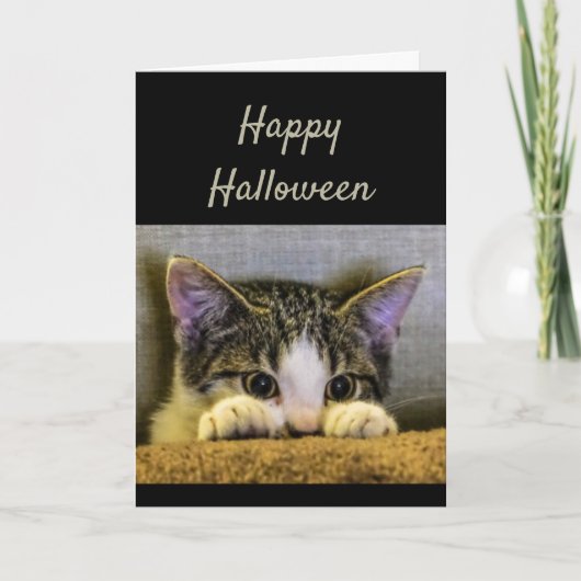 Carte Joyeux Halloween Cute Scared Kitten Drôle (Devant)