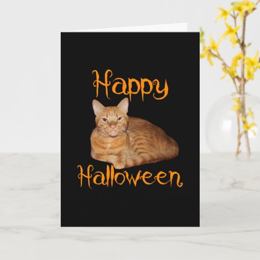 Carte Joyeux Halloween non effrayant Tabby orange chat (Fleur jaune)