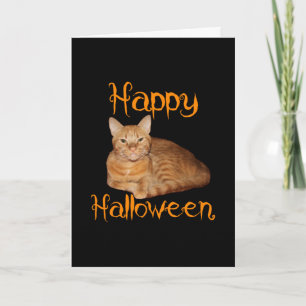 Carte Joyeux Halloween non effrayant Tabby orange chat
