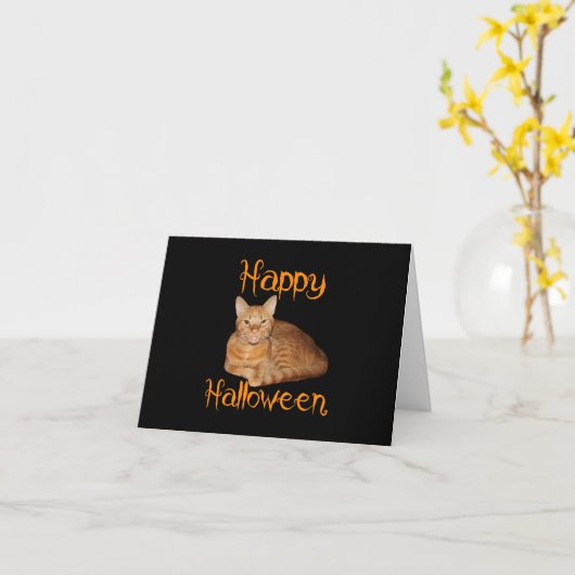 Carte Joyeux Halloween non effrayant Tabby orange chat (Fleur jaune)