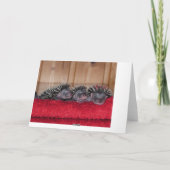 Carte Joyeux Hedgehog Day ! (Dos)