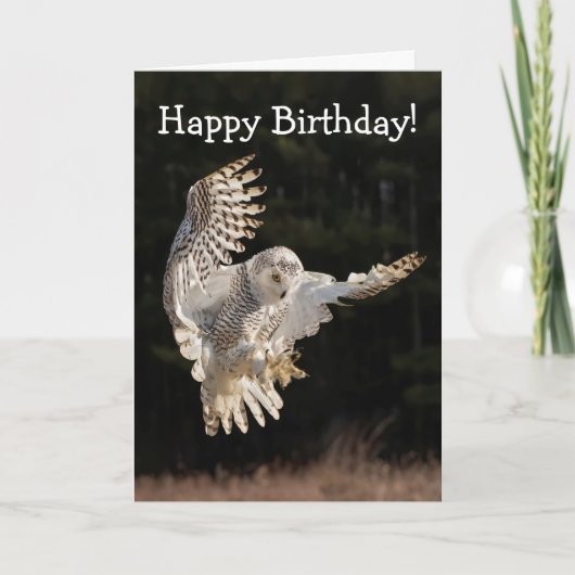 Carte Joyeux hibou d'anniversaire (Devant)