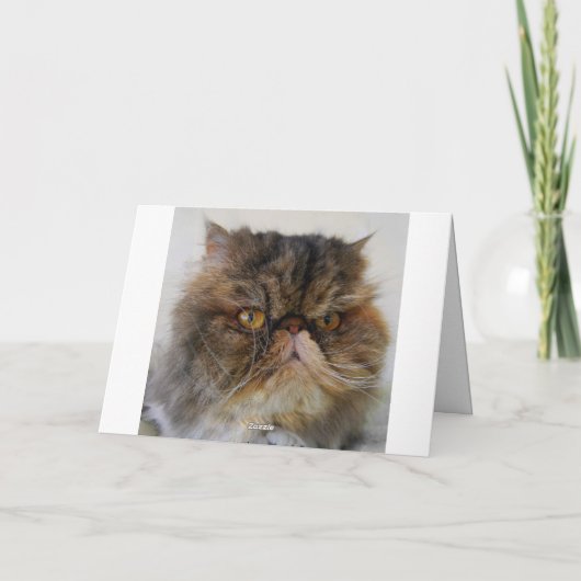 Carte Joyeux Humour d'anniversaire Calico Persian Kitty (Dos)