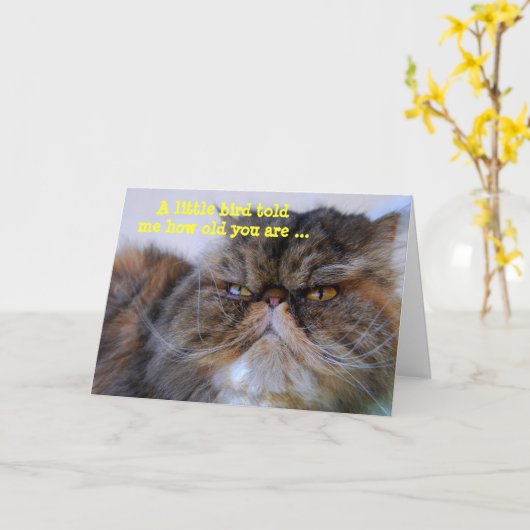 Carte Joyeux Humour d'anniversaire Calico Persian Kitty (Fleur jaune)