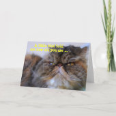 Carte Joyeux Humour d'anniversaire Calico Persian Kitty (Devant)