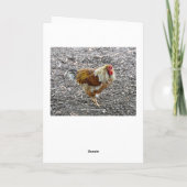 Carte Joyeux Humour d'anniversaire de poulets fantaisie (Dos)