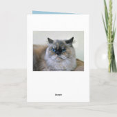 Carte Joyeux Humour d'anniversaire Himalaya chat persan (Dos)