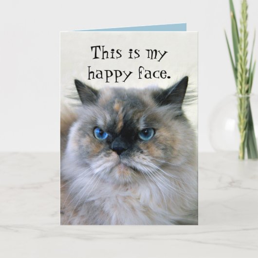 Carte Joyeux Humour d'anniversaire Himalaya chat persan (Devant)