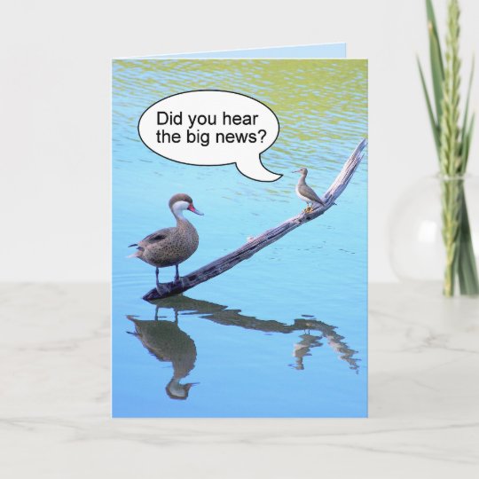 Carte Joyeux Humour Des Oiseaux