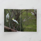 Carte Joyeux Jour des Oiseaux Drôle Anniversaire du Cock (Intérieur)