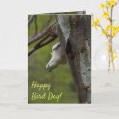 Carte Joyeux Jour des Oiseaux Drôle Anniversaire du Cock (Fleur jaune)