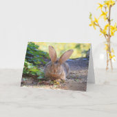 Carte Joyeux Jour du Lapin ! (Fleur jaune)