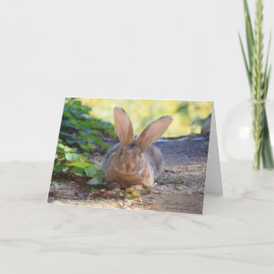 Carte Joyeux Jour du Lapin !