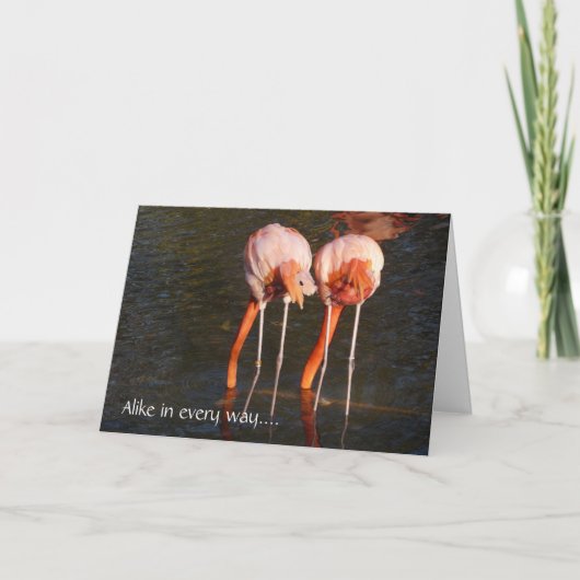 Carte Joyeux Jumeaux d'anniversaire ! - Flamants roses r (Devant)
