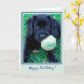 Carte Joyeux Marionnette Black Labrador - Chien mignon (Fleur jaune)