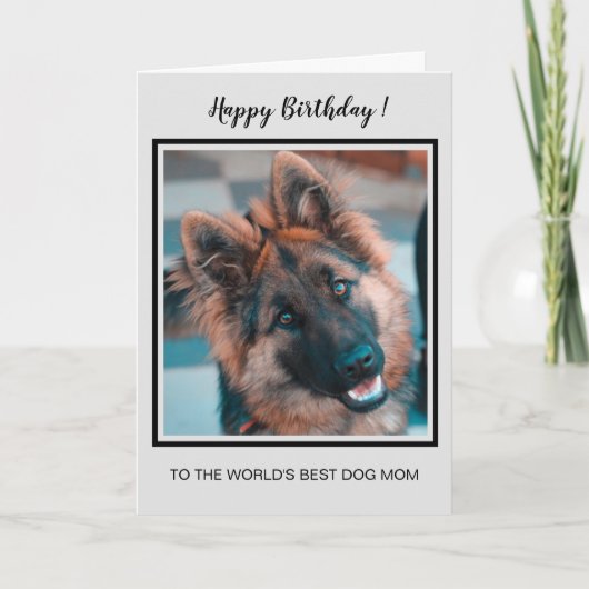 Carte Joyeux Mondes d'Anniversaire Meilleur Chien Maman (Devant)