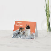 CARTE JOYEUX NOËL À *UN CHAT SYMPA* (Devant)