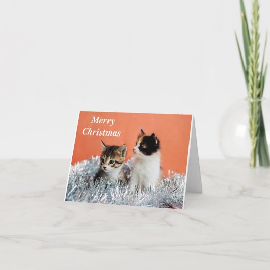 CARTE JOYEUX NOËL À *UN CHAT SYMPA* (Devant)