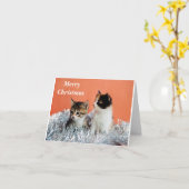 CARTE JOYEUX NOËL AU *CHAT COOL* (Fleur jaune)
