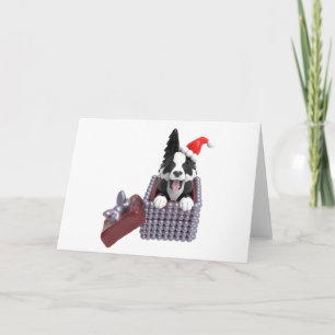 Carte Joyeux Noël Border Collie