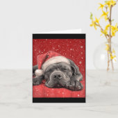 Carte Joyeux Noël Cane Corso (Fleur jaune)