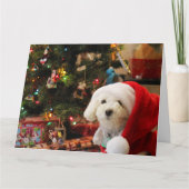 Carte Joyeux Noël Caniche Mignon (Devant)