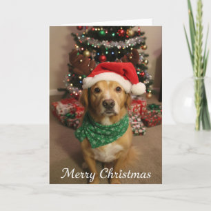 Carte Joyeux Noël Chien