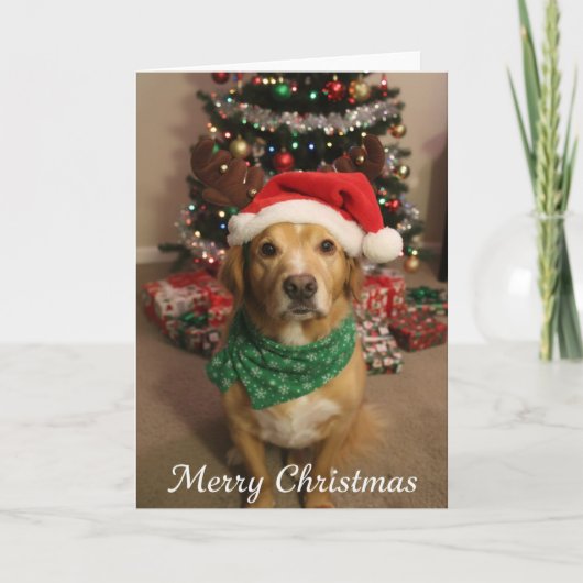 Carte Joyeux Noël Chien (Devant)